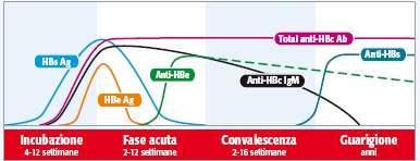 Pannello VIDAS® Hepatitis | BioMérieux Italia